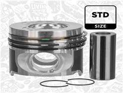 ET ENGINETEAM PM016100