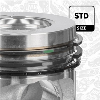 ET ENGINETEAM PM016100