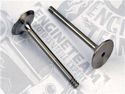 ET ENGINETEAM VI0021