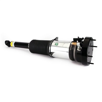 Arnott ASE-3819 Číslo výrobce: AS-3121. EAN: 815710023863.