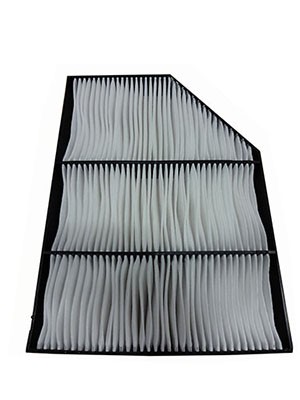 FLEETGUARD AF55765 EAN: 0.