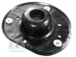 TEDGUM 00228456