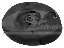 3RG 45219