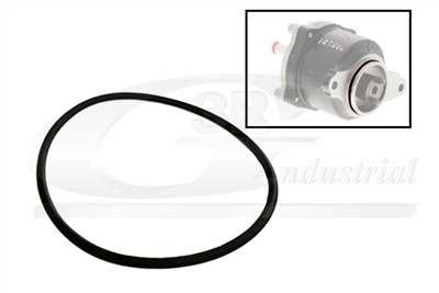 3RG 81091 EAN: 8433889248782.