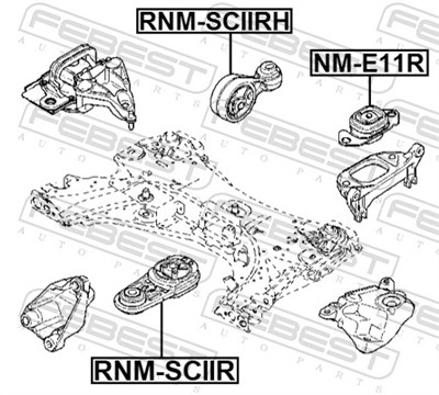 FEBEST RNM-SCIIRH EAN: 4056111161884.