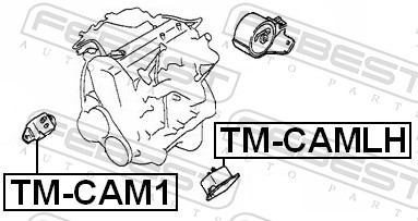FEBEST TM-CAMLH EAN: 4056111062754.