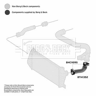 BORG & BECK BTH1352 EAN: 5055807766302.