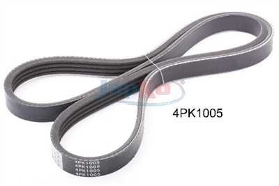 JAPKO 4PK1005 EAN: 8033001779370.