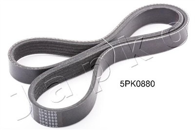 JAPKO 5PK880 EAN: 8033001527346.