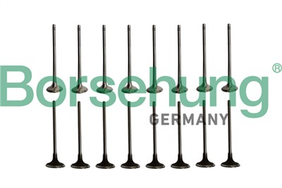 Borsehung B10338