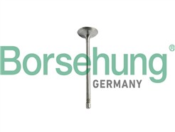 Borsehung B10344