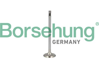 Borsehung B10346