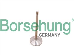 Borsehung B10348