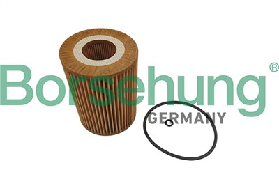 Borsehung B10467