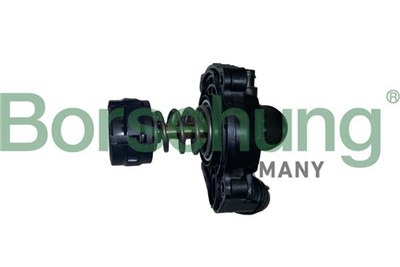 Borsehung B10554