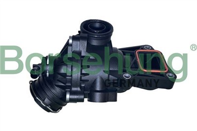 Borsehung B10559