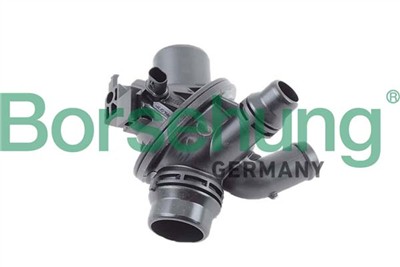Borsehung B10561