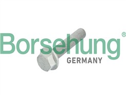 Borsehung B10633