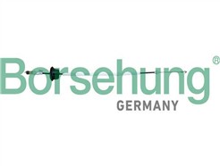 Borsehung B10792