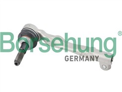 Borsehung B10821