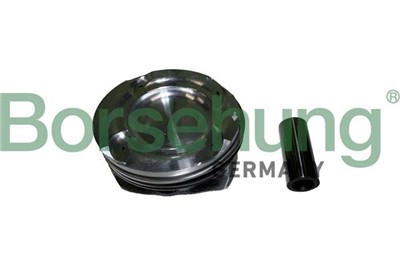 Borsehung B11142