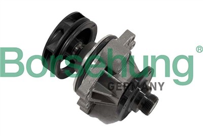 Borsehung B11217