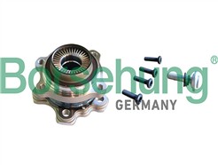 Borsehung B11295