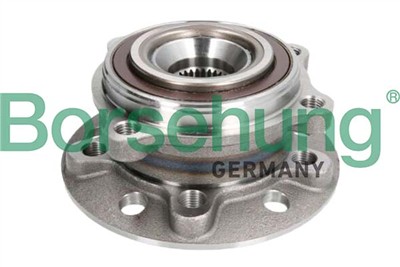 Borsehung B11715