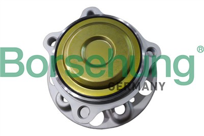 Borsehung B11716