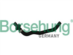 Borsehung B11971