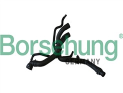 Borsehung B11977