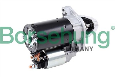 Borsehung B12031
