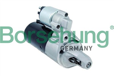 Borsehung B12033