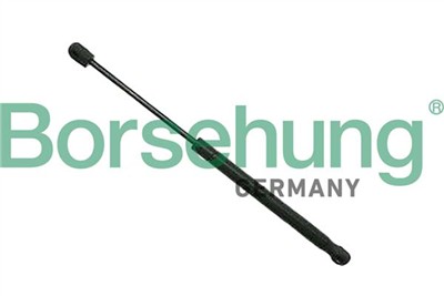 Borsehung B12065