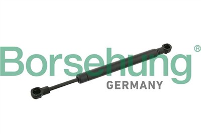 Borsehung B12066