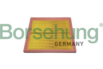 Borsehung B12438