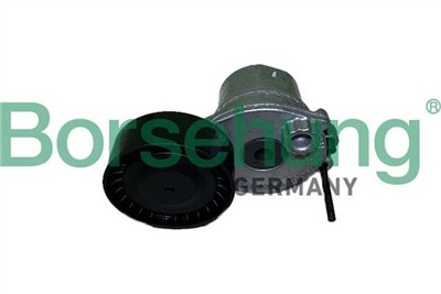 Borsehung B12466