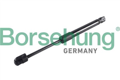 Borsehung B12475
