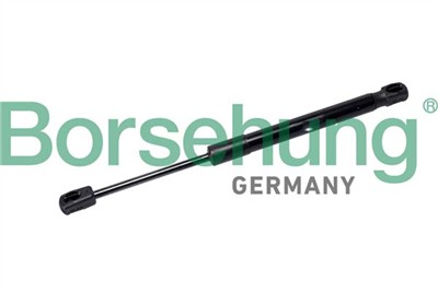 Borsehung B12478
