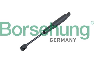 Borsehung B12482
