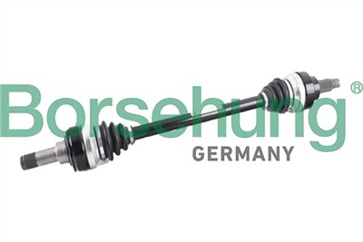 Borsehung B12487