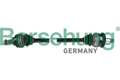Borsehung B12488