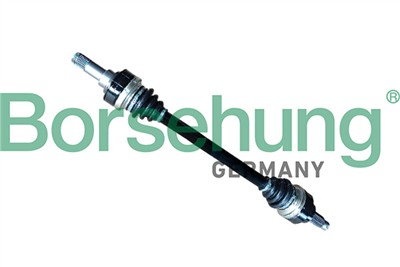 Borsehung B12489