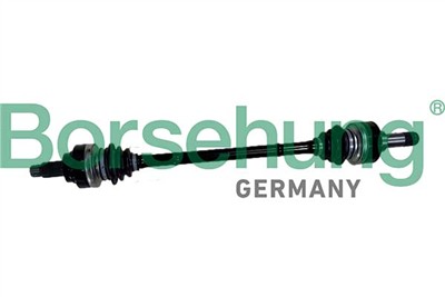 Borsehung B12492