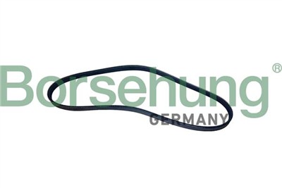 Borsehung B12496