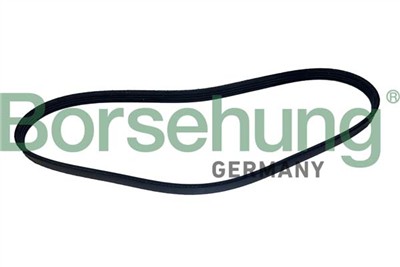 Borsehung B12498