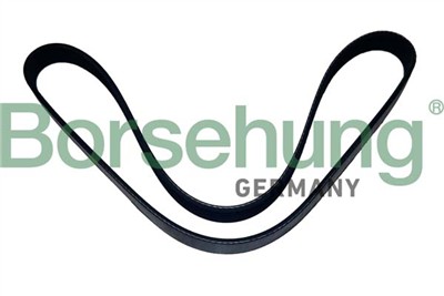Borsehung B12502