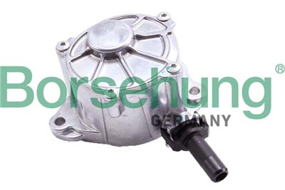 Borsehung B12528