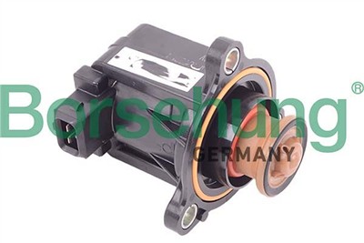 Borsehung B12567