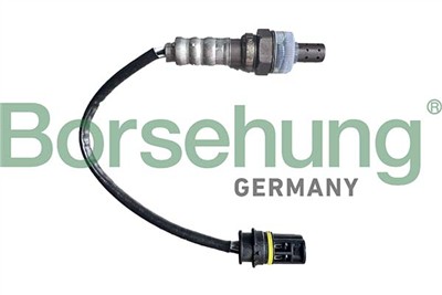 Borsehung B12585